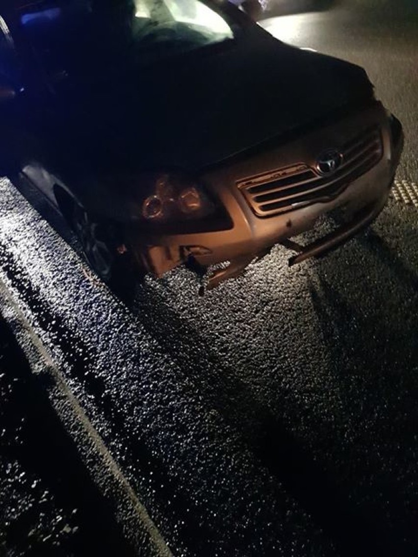 Gmina Cedry Wielkie: Zderzenie dwóch aut osobowych z łosiem na S7. Dwie osoby trafiły do szpitala [ZDJĘCIA]