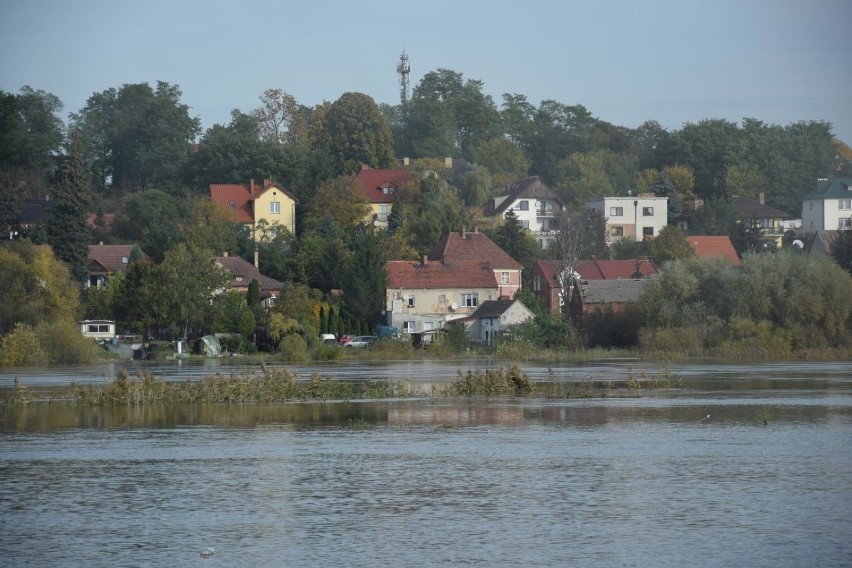 W czwartek (22 października) w południe poziom wody w Odrze...