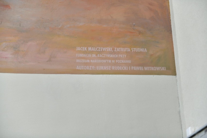 "Zatruta studnia I", czyli kolejny mural w Radomiu już gotowy. Tym razem można go oglądać przy Niedziałkowskiego. Zobaczcie zdjęcia