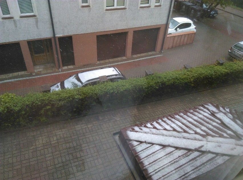 Białystok i region. Śnieg w maju. Zmiana pogody 12.05.2020 [zdjęcia]