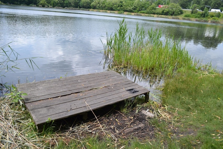 Miasto zamierza wybudować pomosty dla wędkarzy. Chce jednak,...