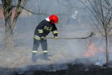 Rozpoczął się sezon na wypalanie traw