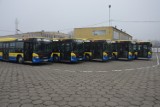 Skandal w MPK w Tarnowie. Pasażerów woził autobusem 19-latek bez uprawnień! Pozwolił mu na to kierowca MPK