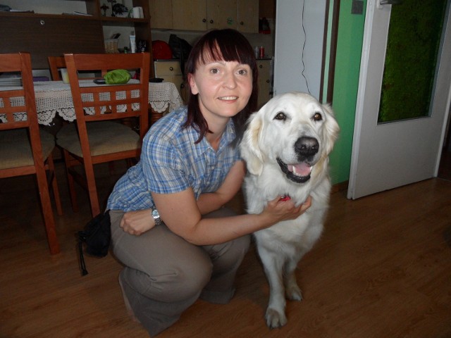 Pies terapeuta Daga (na zdj. w 2012 r.)