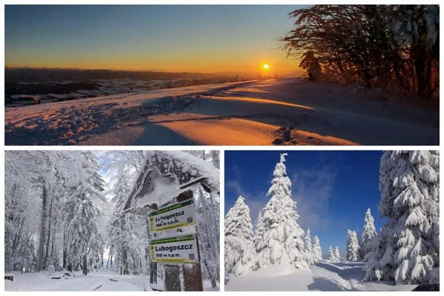 Beskid Wyspowy zimą zachęca do wędrówek