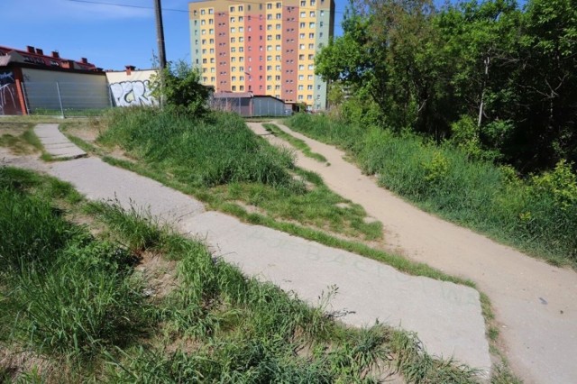 Zamiast wydeptanych ścieżek w parku na Gołębiowie II mają być chodniki i ścieżki rowerowe. Miasto szuka firmy, która je zaprojektuje.