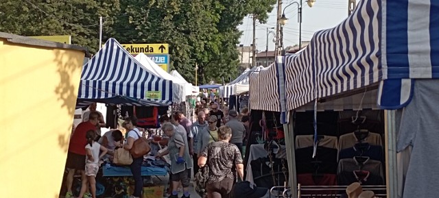 W ostatnim tygodniu przed końcem wakacji, w czwartek, 25 sierpnia na targu w Jędrzejowie pojawiło się więcej osób niż zazwyczaj. Jakie towary cieszyły się największym powodzeniem? Zobaczcie w galerii zdjęć. 

Zobacz, co działo się na jędrzejowskim targu w czwartek 25 sierpnia >>>