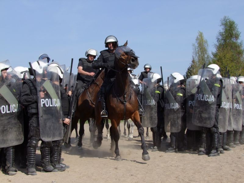 Policjanci konni z Poznania znów  udowodnili, że są najlepsi w kraju [ZDJĘCIA, WIDEO]