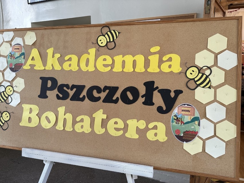 Akademia Pszczoły Bohatera w Szkole Podstawowej numer 1 w Sandomierzu, nowy program edukacyjny. Szkoły dostały ule i inne materiały