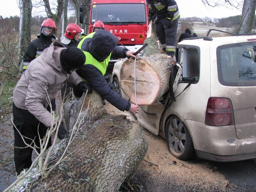 Wicko-Poraj. Drzewo przewróciło się na samochód.