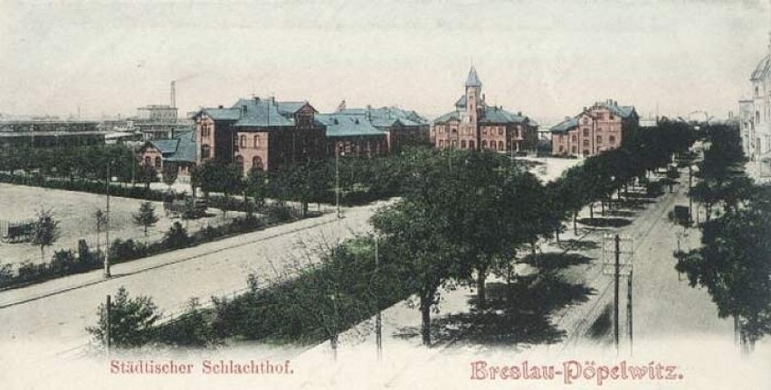 Lata 1900-1910. Ulica Legnicka, po lewej stronie widać...
