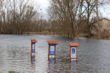 Międzyrzecz: za tak wysoką Obrą jakoś specjalnie nie tęsknimy...