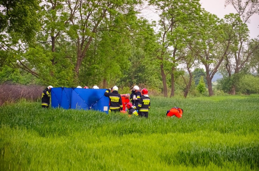 Śmiertelny wypadek na trasie Żerków-Żółków. Nie żyje 21-letni mieszkaniec gminy Żerków [ZDJĘCIA] 