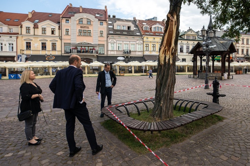 Wichura złamała konar drzewa na Rynku w Rzeszowie. Ratusz chce uratować akację ale nie wiadomo czy się uda