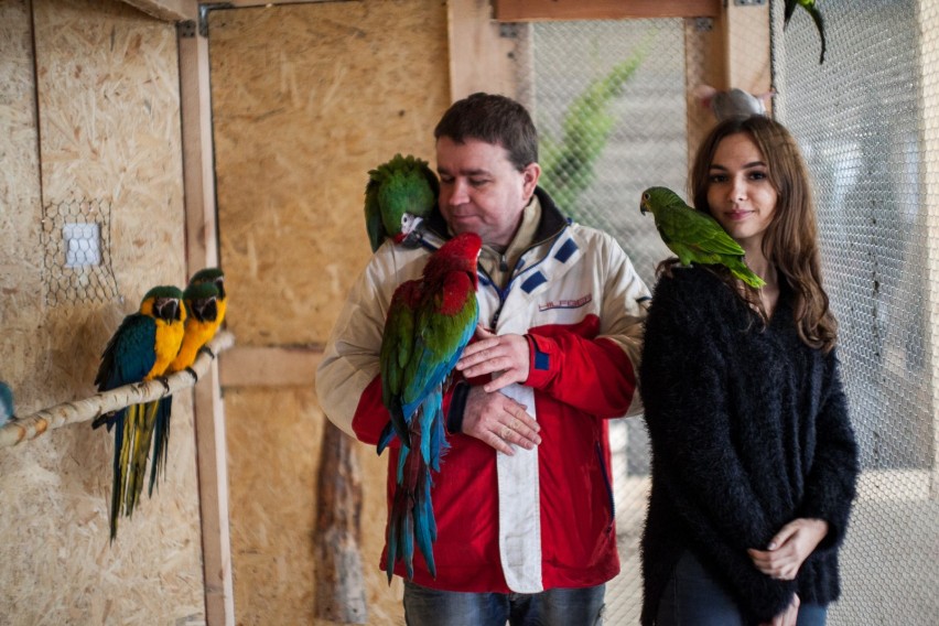 Papugarnia Kakadu

Wizyta w zoo może być dobrym pomysłem,...