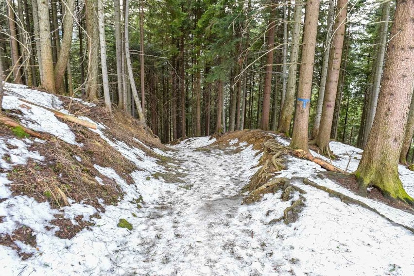 Tatry: Przyszła odwilż i szlaki zrobiły się śliskie oraz niebezpieczne [ZDJĘCIA]