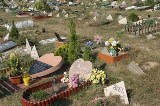 Kraków: bez cmentarza dla zwierząt na Baryczy. Majchrowski wycofuje się z pomysłu