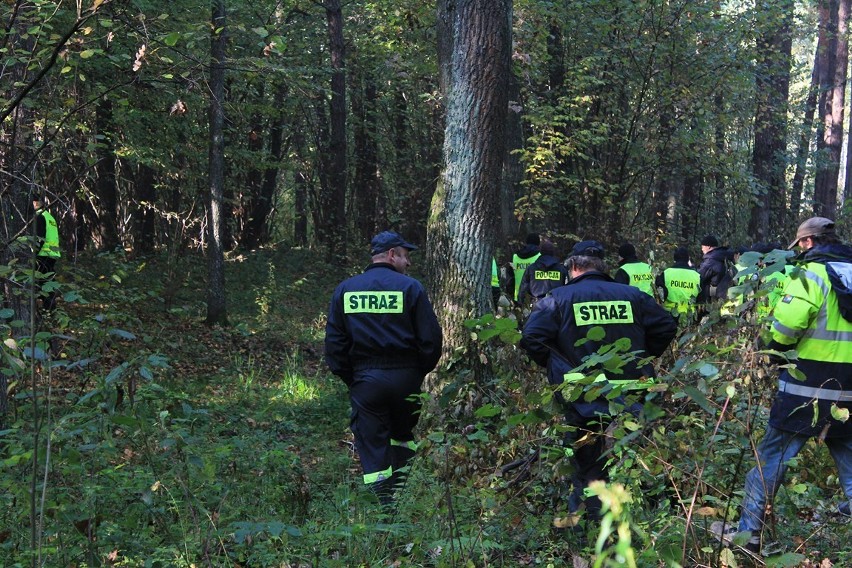 Ludwinów: Zgubili się na grzybobraniu. Zostali znalezieni po kilkunastu godzinach