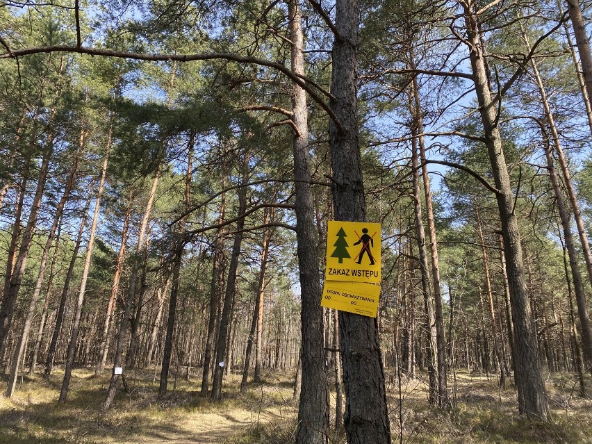 Tych miejsc w Olkuszu i okolicach prędko nie zobaczysz