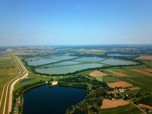 Dotychczas potwierdzono występowanie na terenie Wielikąta 236 gatunków ptaków, w tym 129 lęgowych lub prawdopodobnie lęgowych. Z grupy ptaków wodno-błotnych zaobserwowano 123 gatunki. Stanowiska lęgowe mają tu gatunki zagrożone i potencjalnie zagrożone w skali globalnej, europejskiej, krajowej oraz regionalnej - Wikipedia.