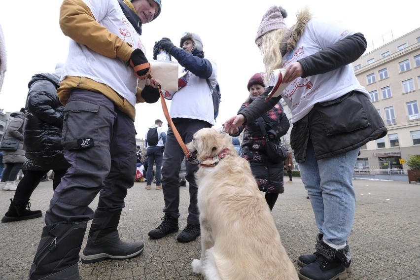 Goldeny pokazały się na pl. Wolności. Celem była pomoc w...