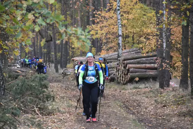 Ponad 700 zawodników wzięło udział w mistrzostwach Polski w nordic walking, które odbyły się w Zawidowicach. Rywalizacja toczyła się na trzech dystansach: 5, 10 i 21 km