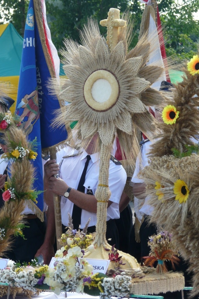 Dożynki wojewódzkie w Białej Rawskiej 2013. Grupy wieńcowe