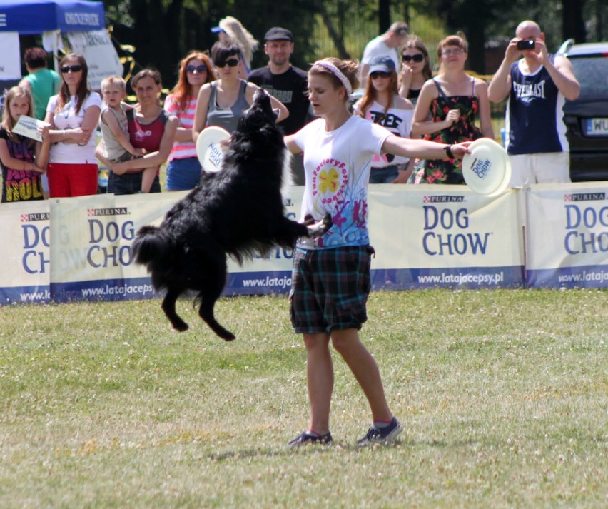 Dog Chow Disc Cup 2013: Który pies lata najpiękniej?