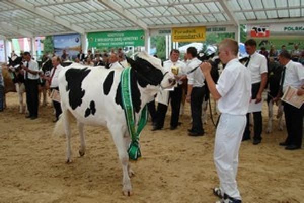 Ubiegłoroczna wystawa cieszyła się wielkim powodzeniem