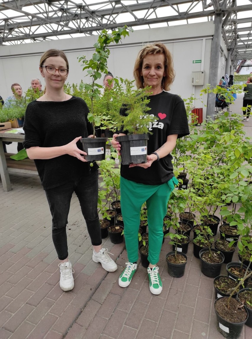 W Libiążu rozdano 150 sadzonek drzew w ramach projektu Life...