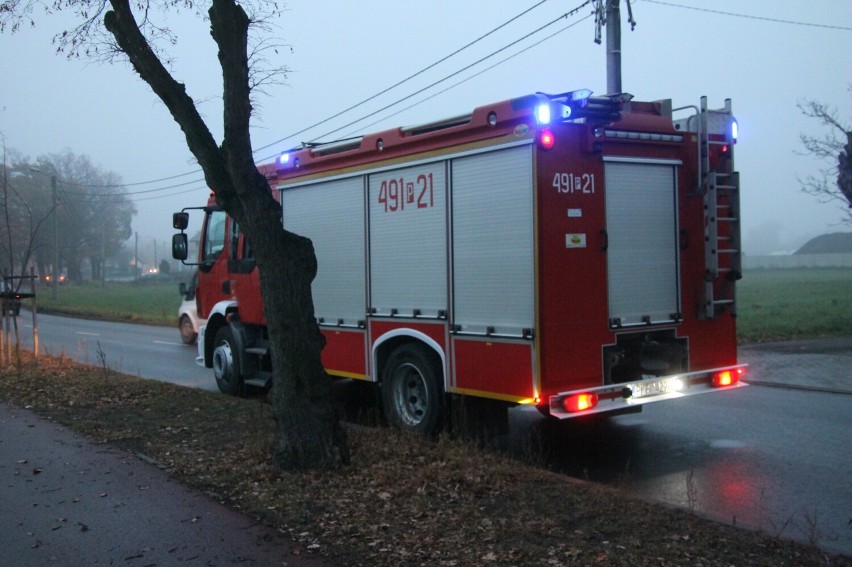 Kot znajdował się na wyspie, gdy strażacy chcieli mu pomóc... uciekł i odpłynął [ZDJĘCIA]