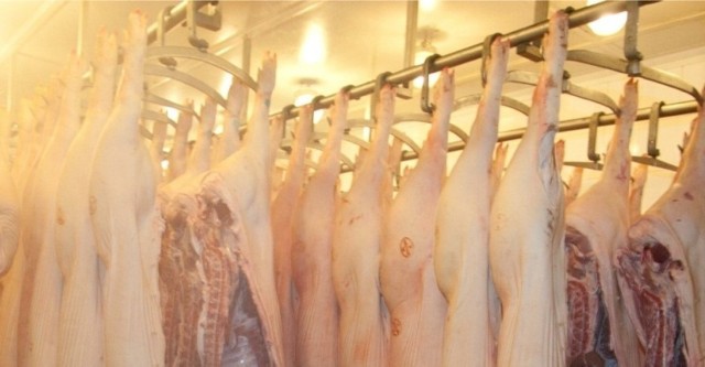 Końskowola. Problemy zakładów mięsnych Pini Beef. Co dalej z przedsiębiorstwem?