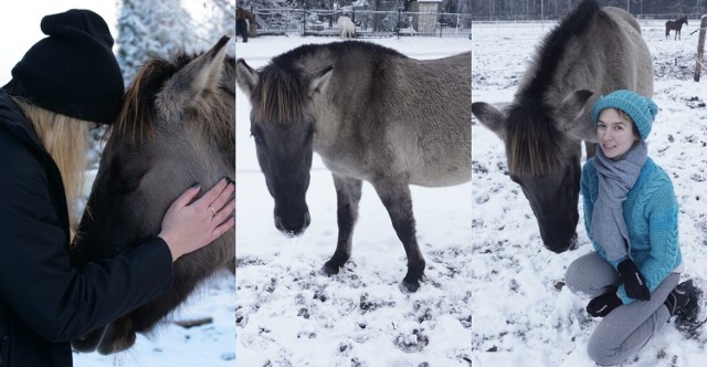 Ewa Mazur i Orme zapraszają na medytację z koniem