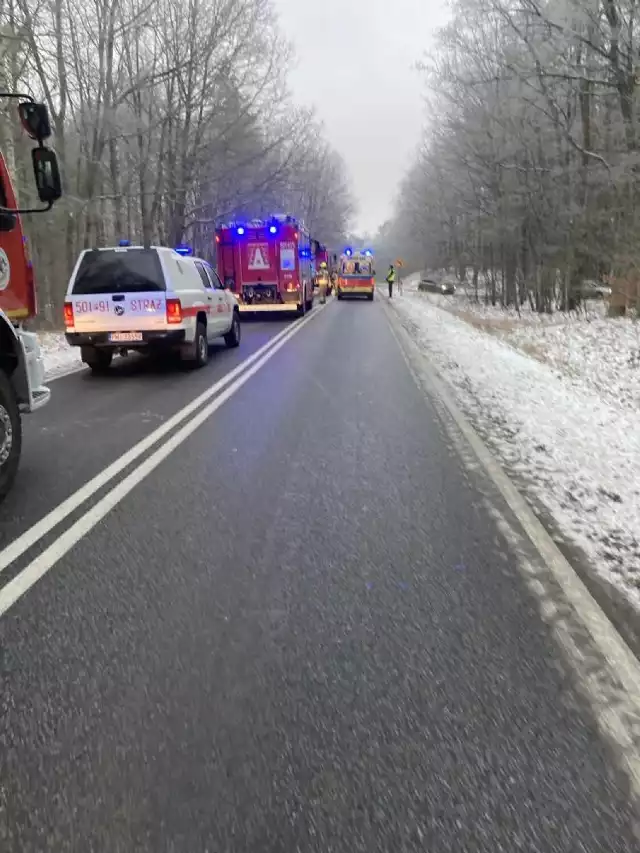 Samochód osobowy uderzył w drzewo. Na miejscu pracują służby (11.01.2023).