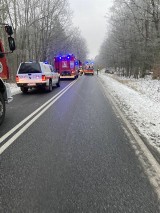 Wypadek na drodze wojewódzkiej nr 182 Międzychód - Sieraków. Samochód osobowy uderzył w drzewo