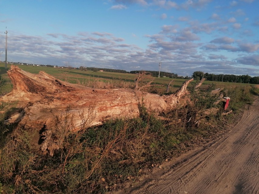 Gm. Szamotuły. Fatalny stan drogi z Gąsaw do Popowa. Obawiamy się o bezpieczeństwo - mówią miejscowi