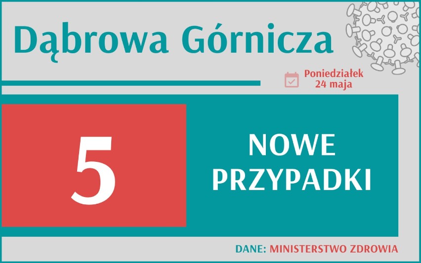 559 nowych przypadków koronawirusa w Polsce, 75 w woj....