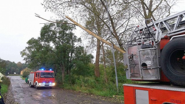 W czwartek, o godz. 7.45, strażacy z jednostki OSP w Skwierzynie zostali wezwani do usunięcia uschniętego drzewa na ul. Nad Obrą. Wiatr obalił je na przydrożną latarnię.