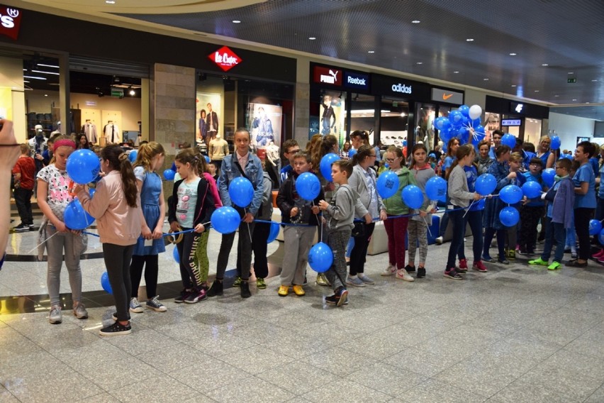 Galeriw Twoerdza Zamość:  Autyzm. Poznaję. Staram się...