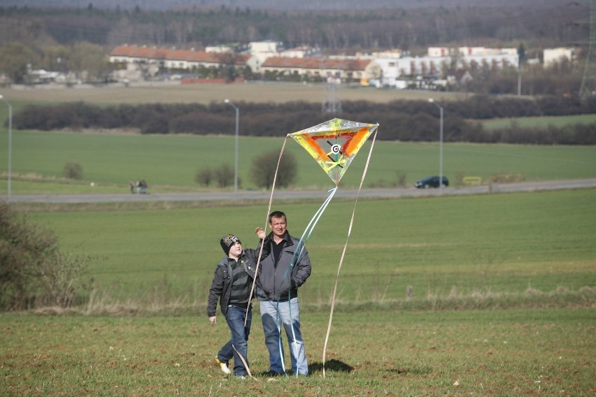 W lany poniedziałek puszczali w Piekarach latawce [ZDJĘCIA]