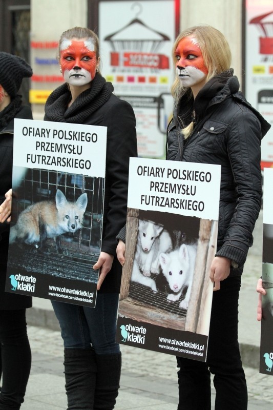 Wrocław: Protest przeciwko hodowli zwierząt na futra (ZDJĘCIA)