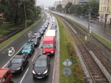 We Wrocławiu będą autostrady dla rowerów - rowerostrady. Kosztem kierowców czy pieszych? 