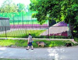 Mieszkańcy lubelskich osiedli: Orliki są niedostępne