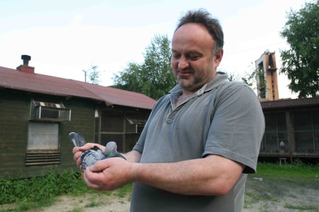 Andrzej Kostorz z Katowic może o gołębiach mówić w nieskończoność