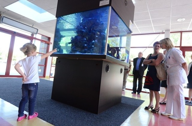 Mali pacjenci Szpitala Klinicznego im. Karola Jonschera przy ulicy Szpitalnej mają wielką atrakcję - ogromne akwarium, w którym pływają takie rybki,  jak w bajce o Nemo.