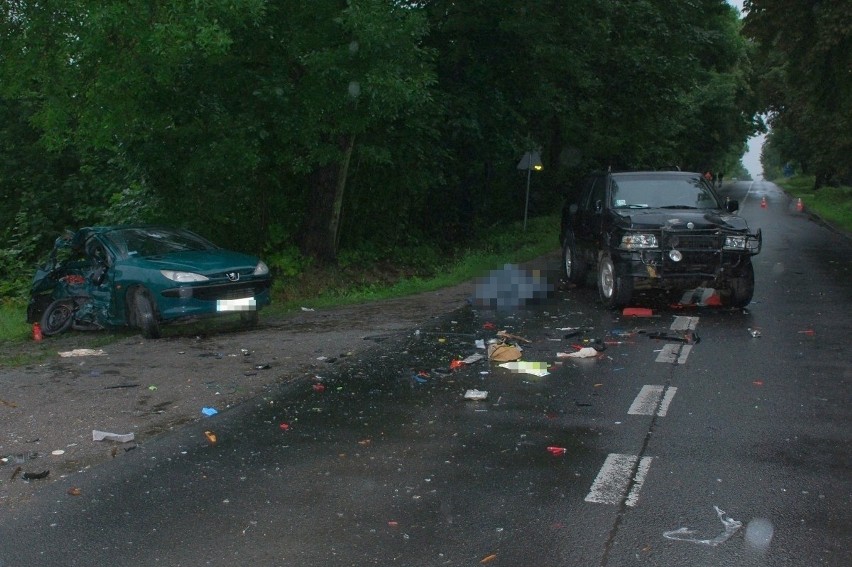 Biskupice w gminie Pilica: Wypadek na DW 790. Nie żyje kierowca peugeota [ZDJĘCIA]