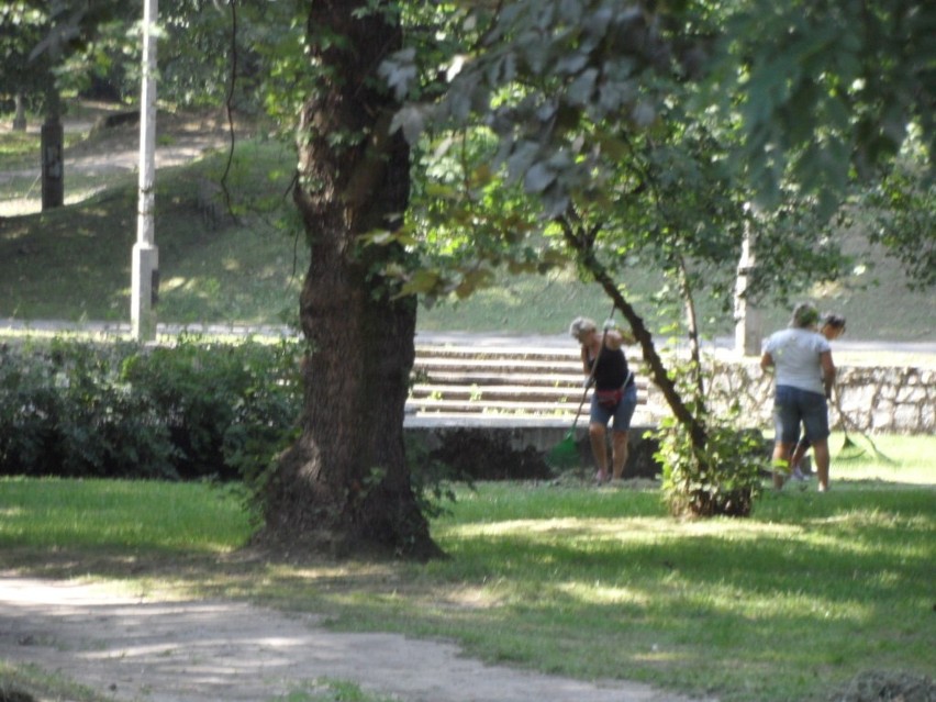 Miasto chce zburzyć ruiny w których znaleziono zwłoki Madzi z Sosnowca [ZDJĘCIA]