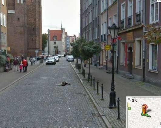 Samochód Google Street View przejechał psa? Google: Nie, tylko obudził