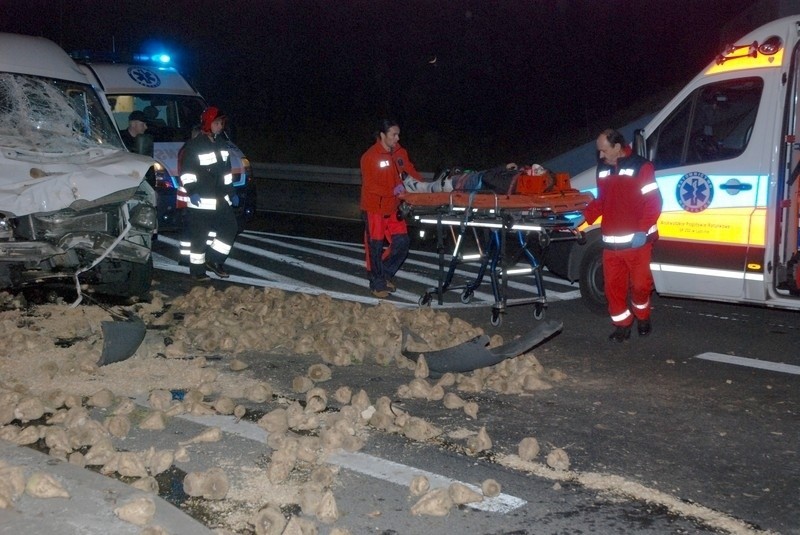 Wilkołaz: Bus uderzył w ciągnik rolniczy. 9 osób rannych