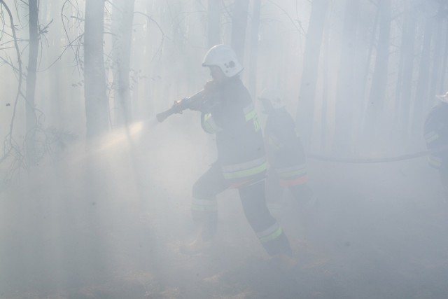 Walka z pożarem lasu - jak widać na tym archiwalnym zdjęciu - jest niezwykle trudna